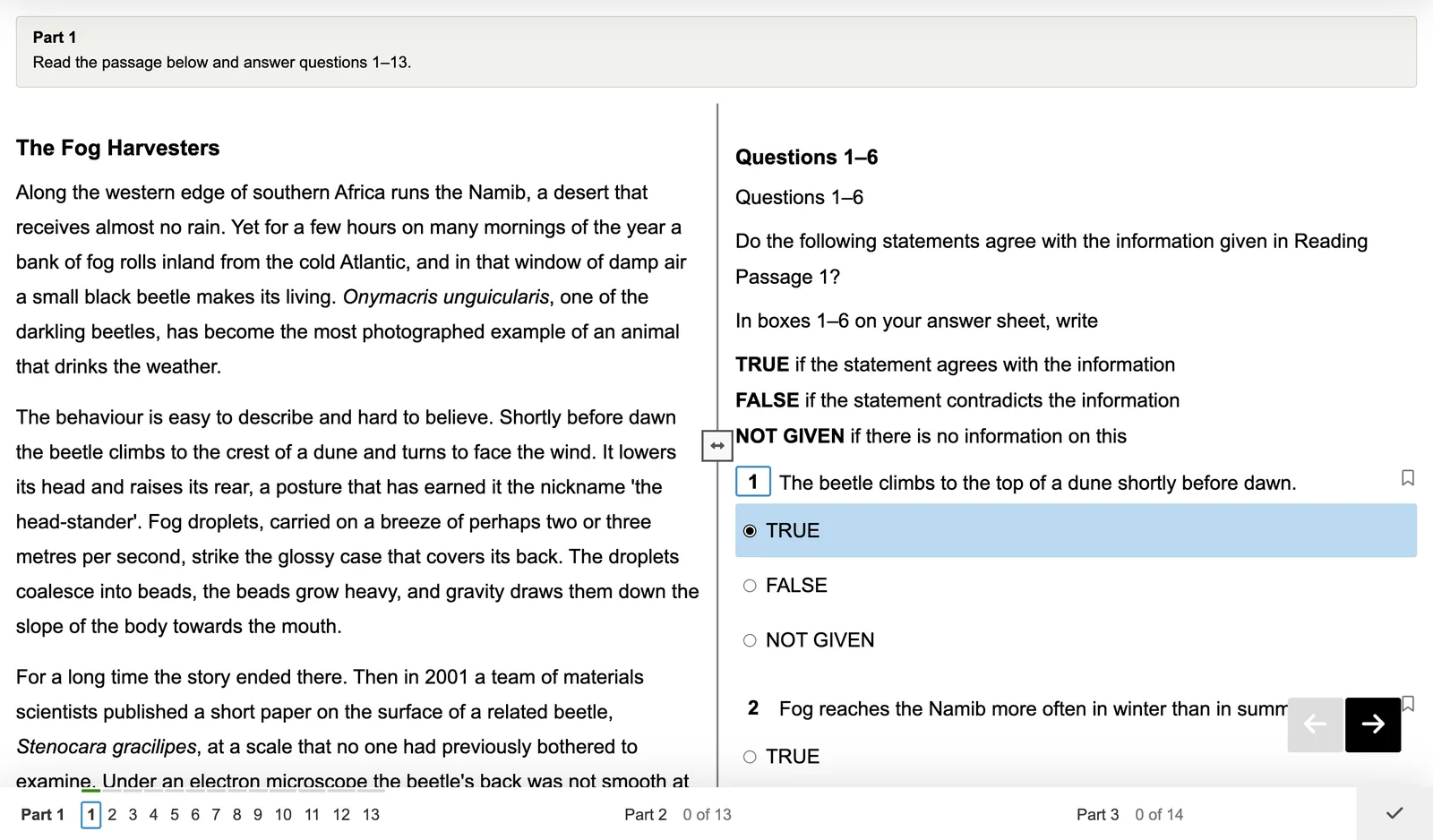 A Reading test: the passage on the left, True/False/Not Given questions on the right, and the question navigator along the bottom.